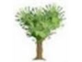 Abccreativelearning Coupon Codes July 2025