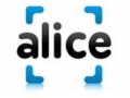 Alice Coupon Codes April 2024
