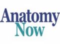 Anatomynow Coupon Codes May 2025