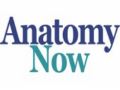 Anatomynow 20% Off Coupon Codes May 2024