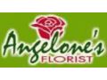 Angelone's Florist Coupon Codes April 2024