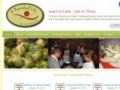 Anourishedlife Coupon Codes July 2025