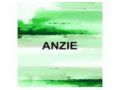 Anzie Coupon Codes April 2023