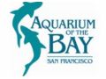 Aquariumofthebay 5$ Off Coupon Codes May 2024