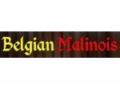 Belgian Malinois Dog Breed Store Coupon Codes July 2025