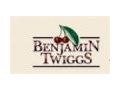 BenjaminTwiggs 10% Off Coupon Codes May 2024