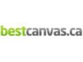 Best Canvas Canada Coupon Codes March 2025