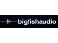 Big Fish Audio Coupon Codes May 2025