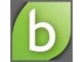 Blinq Coupon Codes March 2025