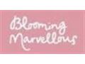 Blooming Marvellous Coupon Codes July 2022