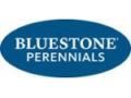Bluestone Perennials Coupon Codes August 2022