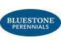 Bluestone Perennials Coupon Codes March 2025