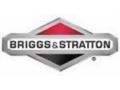 BRIGGS & STRATTON 10% Off Coupon Codes May 2024