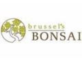 Brusselsbonsai 5% Off Coupon Codes May 2024