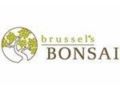 Brusselsbonsai Coupon Codes July 2025