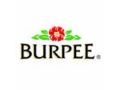 Burpee Coupon Codes December 2023