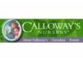 Calloway's Coupon Codes April 2024