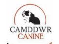 Camddwr Canine Uk Coupon Codes April 2024