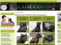 Cane-corso-dog-breed-store Coupon Codes April 2024