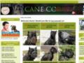 Cane-corso-dog-breed-store Coupon Codes July 2025
