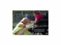 Charitycards.dogsforthedisabled Coupon Codes July 2025