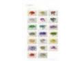 Charitycards.otter Coupon Codes July 2025