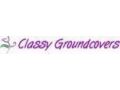 Classy Groundcovers Coupon Codes April 2024