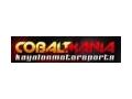 Cobalt Mania Coupon Codes April 2024