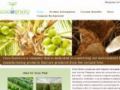 Cocoenviro Free Shipping Coupon Codes May 2024