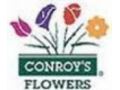 Conroy's Flowers 10$ Off Coupon Codes May 2024