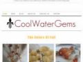 Coolwatergems Free Shipping Coupon Codes May 2024