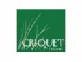 Criquetshirts 20% Off Coupon Codes May 2024