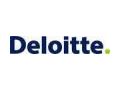 Deloitte Touche Tohmatsu International Coupon Codes April 2024