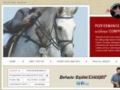 Depaoloequineconcepts Coupon Codes May 2024