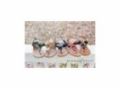 Dianaekelly Coupon Codes July 2025