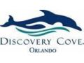 Discovery Cove 25% Off Coupon Codes April 2024