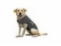 Dogparkpublishing Coupon Codes July 2025