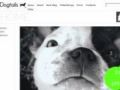 Dogtailsshop Coupon Codes July 2025