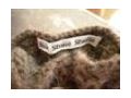 Dorothy & Theodore Coupon Codes July 2025