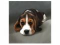 Draw My Face Uk Coupon Codes July 2025