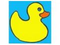 Ducksinarowrs Coupon Codes July 2025