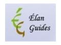 Elan Guides 10% Off Coupon Codes May 2024