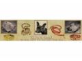 Ella's Lead Coupon Codes July 2025