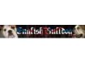 English-bulldog-dog-breed-store Coupon Codes July 2025
