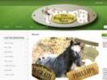 Engravingspot Coupon Codes July 2025