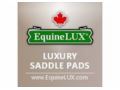 Equinelux Coupon Codes May 2024