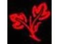 Ethnicgiftsdecor Coupon Codes July 2025