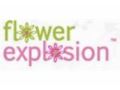 Flowerexplosion 5$ Off Coupon Codes May 2024