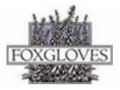 Foxgloves Coupon Codes May 2022