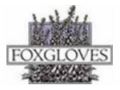 Foxgloves Coupon Codes July 2025